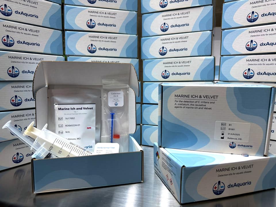 Marine Ich and Velvet activeID Rapid Test